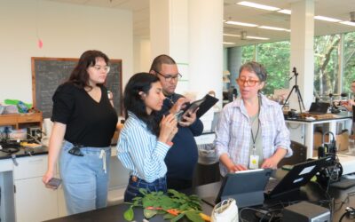 Scientist Spotlight: SURA Postdoc Researcher Natalia Quinteros Casaverde